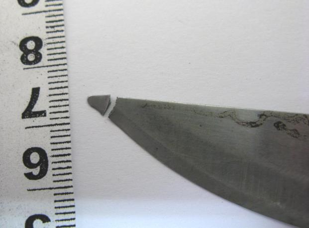 PICTURE 9 The metal piece extracted from the parietal bone has been juxtapositioned to the tip of the blade (object 1).