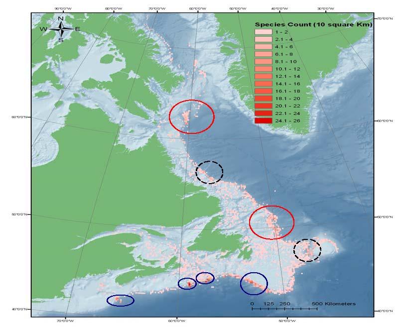 4 References Anononomous, 1967. Fishery description for Newfoundland, Labrador, West and East Greenland // PINRO. Murmansk. 215 pp. Duran Munoz, P., M. Sayago Gil, J. Cristobo, S. Parra, A.