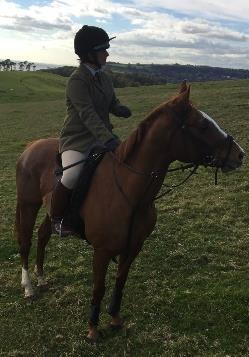Lot 11. AMBLEWOOD ROCKY Shetland Gelding. 15 months old. Very smart, wellhandled and very small. Lot 12. SILVER SPRING BLACK TIE Black Cob Mare, 5 years old. Stunning Irish bred Mare.