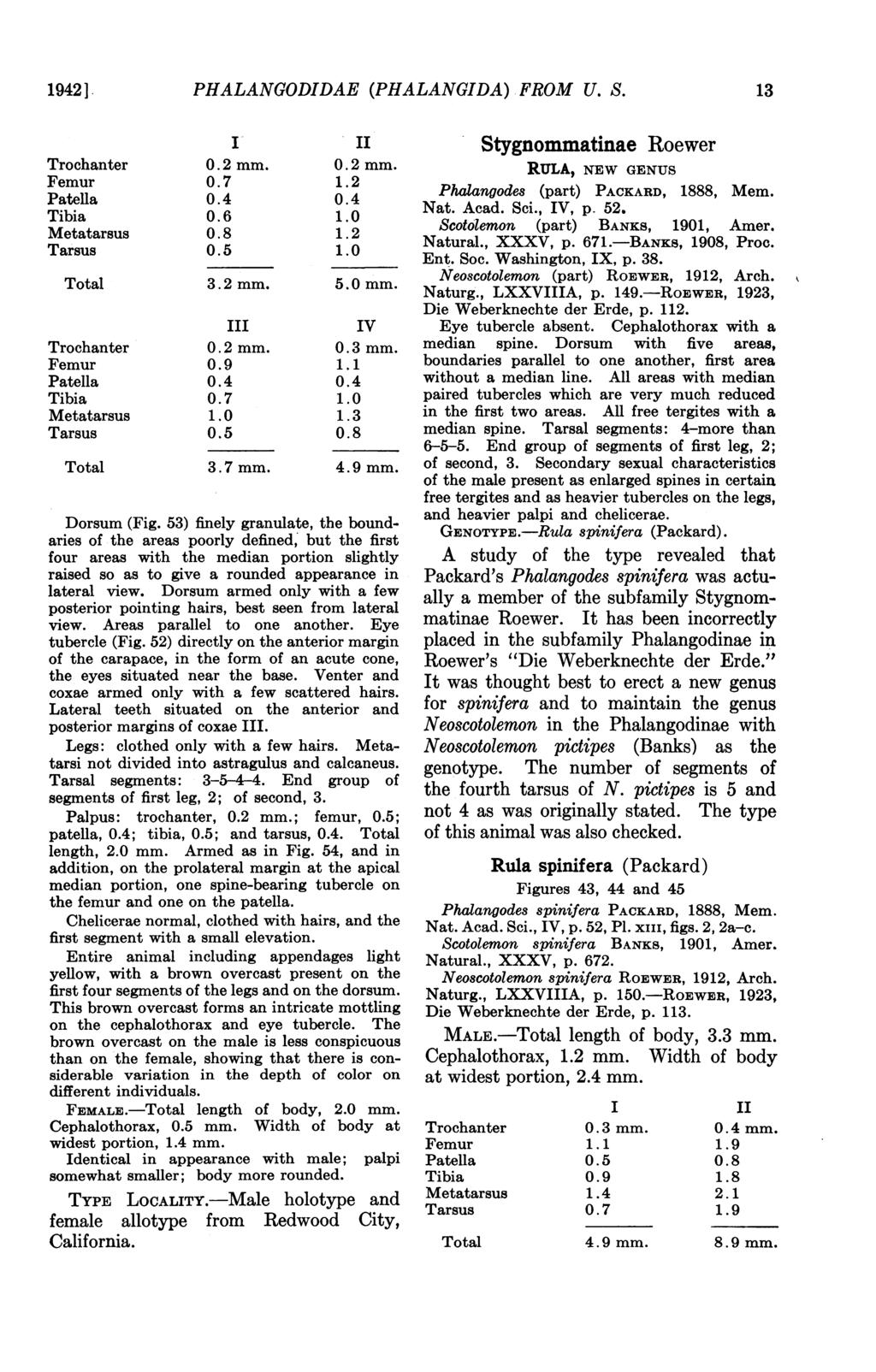 1942 ] PHALANGODDAE (PHALANGDA) FROM U. S. 13 3.2 mm. 3.7 mm. 5.0 mm. V 4.9 mm. Dorsum (Fig.