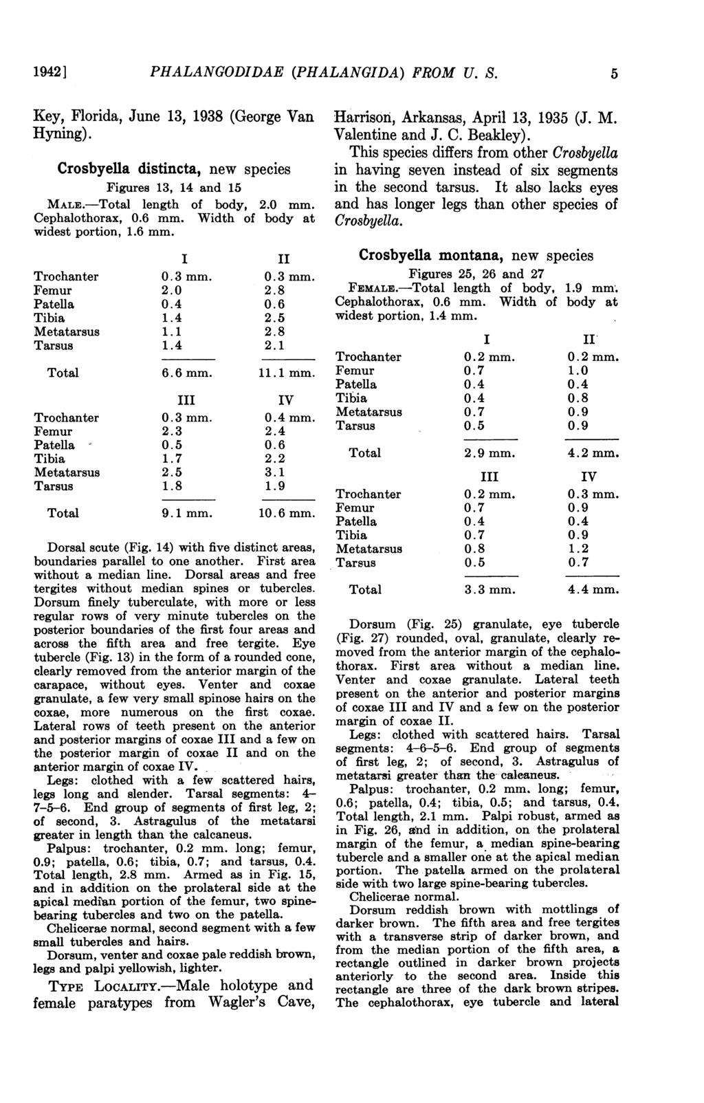 1942] PHALANGODDAE (PHALANGDA) FROM U. S. 5 Key, Florida, June 13, 1938 (George Van Hyning). Crosbyella distincta, Figures 13, 14 and 15 new species MALE.- length of body, 2.0 mm. Cephalothorax, mm.