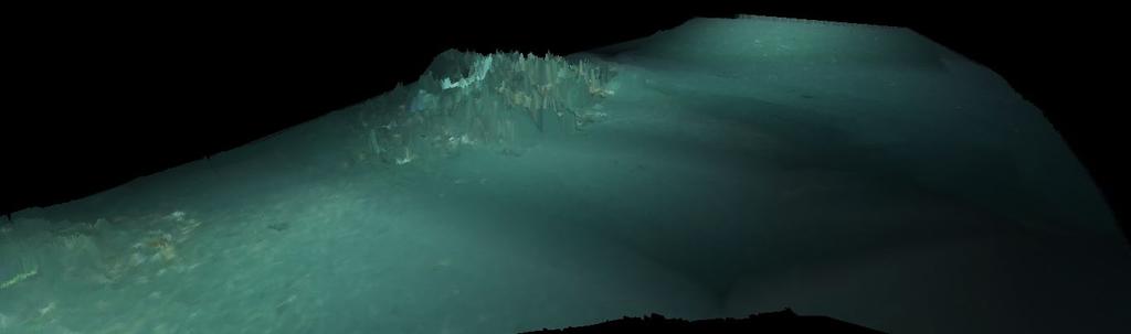 A 3D map generated from the survey data is shown in Fig. 3. The laser profile image and the illuminated image of the seafloor shown in Fig.