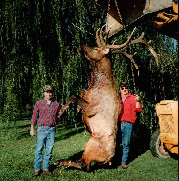 Elk hunts - mechanics Determining age/sex of animals to be harvested Season setting Alternate hunts Once in