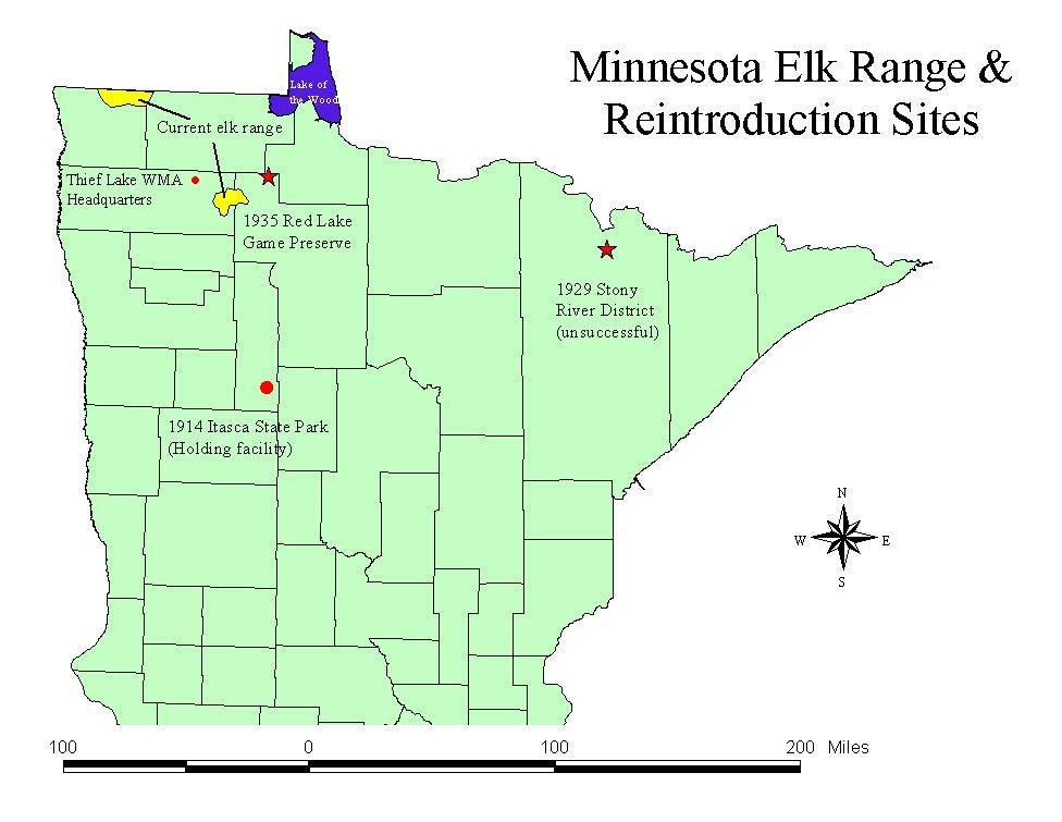 Elk reintroduction efforts 1914-5 elk brought to Itasca State Park 1929