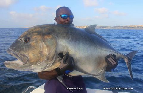 GT MADNESS - PLUGGING & JIGGING, SPINNING, DROP-SHOT & FLYFISHING for a diversity of Species Plugging for GT s (Giant Trevally) is almost a religion on the archipelago and they are caught year-round,