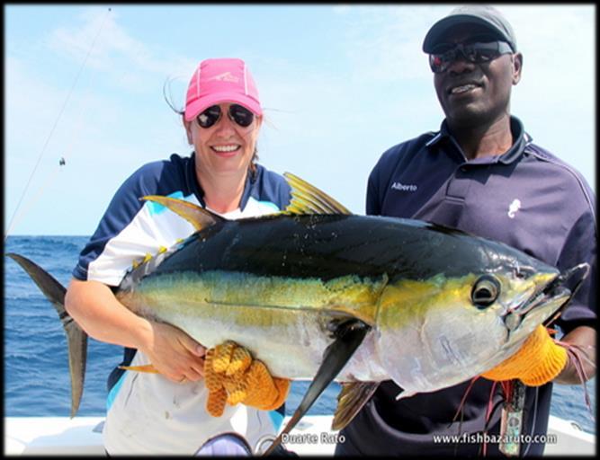 snappers and many other. Fly-fishing is also enormously popular and productive on a enormous variety of species all year round. LIGHT TACKLE CONVENTIONAL - SAILFISH, WAHOO & MUCH MORE.