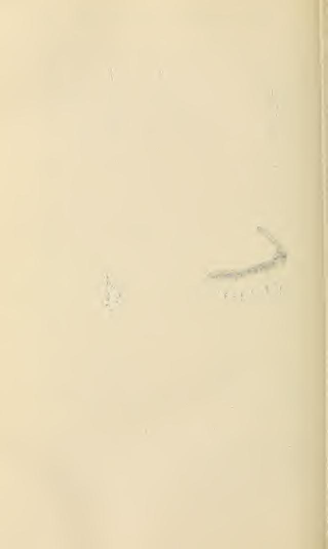86 PROC. ENT. SOC. WASH., VOL. 38, NO. 5, MAY, 1936 o 6 Fig. 1. c d Anopheles leucosphyrus var.