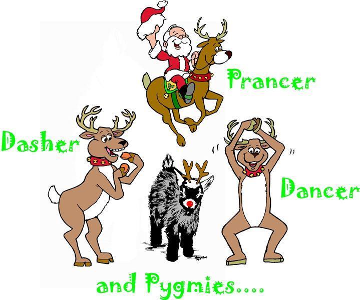 Dasher! Dancer! Prancer and Pygmies! December 1 st -3 rd, 2017 Silverdale, WA This is a NPGA sanctioned show. NPGA rules to govern and take precedence over all others.