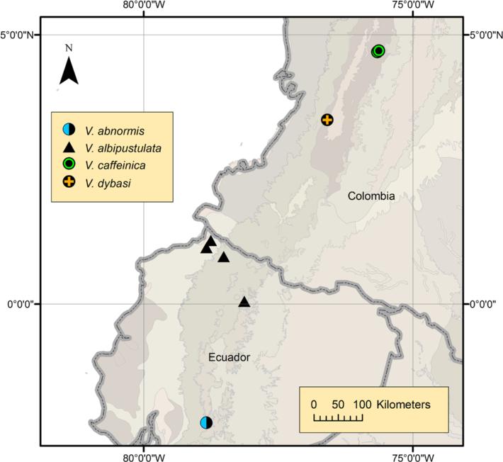 Villarreal M et al. Zoological Studies (2015) 54:45 Page 14 of 18 Figure 13 Northwestern South America, showing the distribution of the species of Ventrifurca.