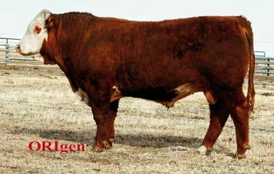 145 HHAdvance 8050U ET 96 146 RJ's Herefords Ranks in the top 25% among non-parent Hereford bulls for Milk EPD. A powerful bull who is thick, long, growthy, and he will add pounds to his offspring.