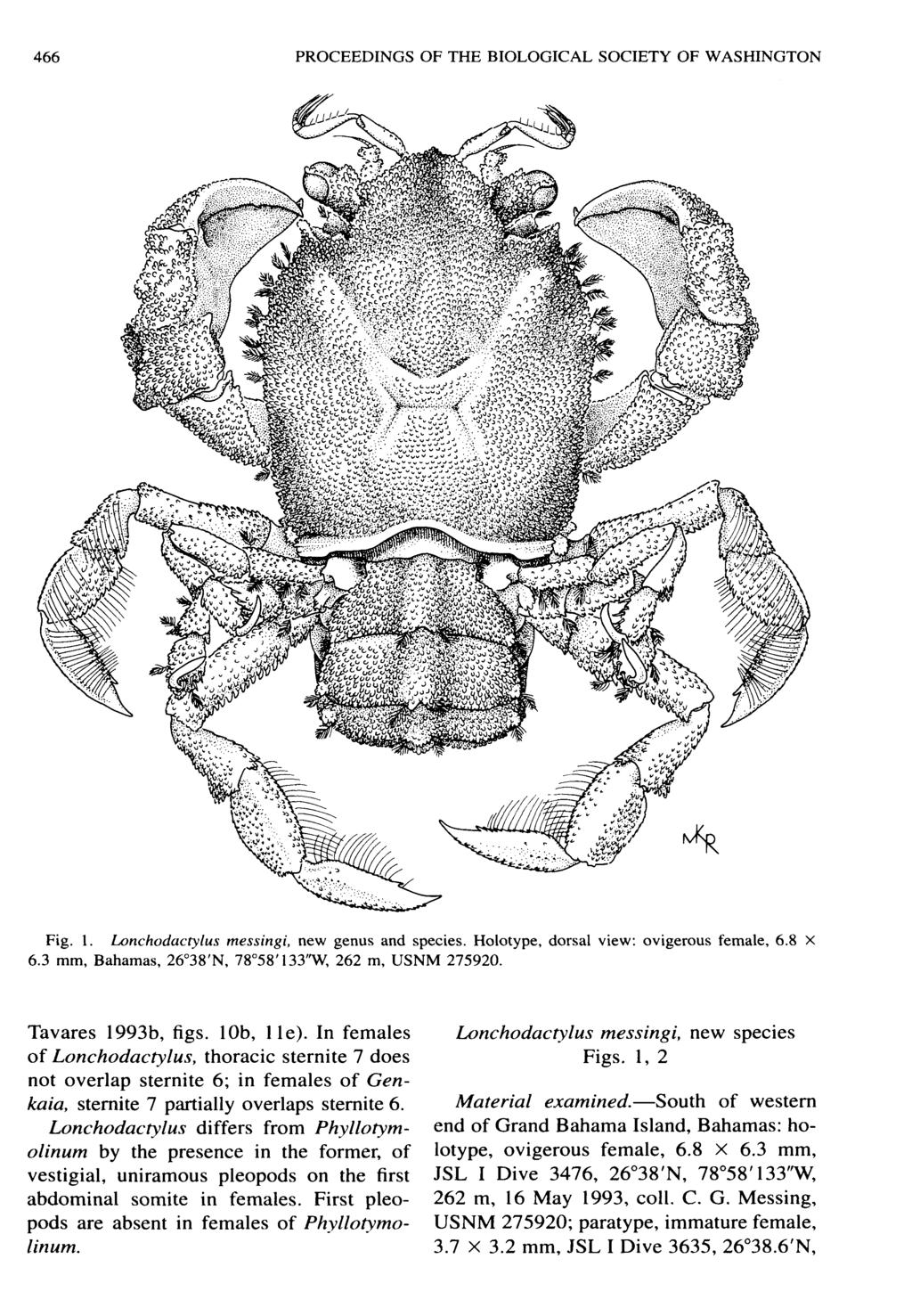 466 PROCEEDINGS OF THE BIOLOGICAL SOCIETY OF WASHINGTON Fig. L Lonchodactylus messingi, new genus and species. Holotype, dorsal view: ovigerous female, 6.8 X 6.