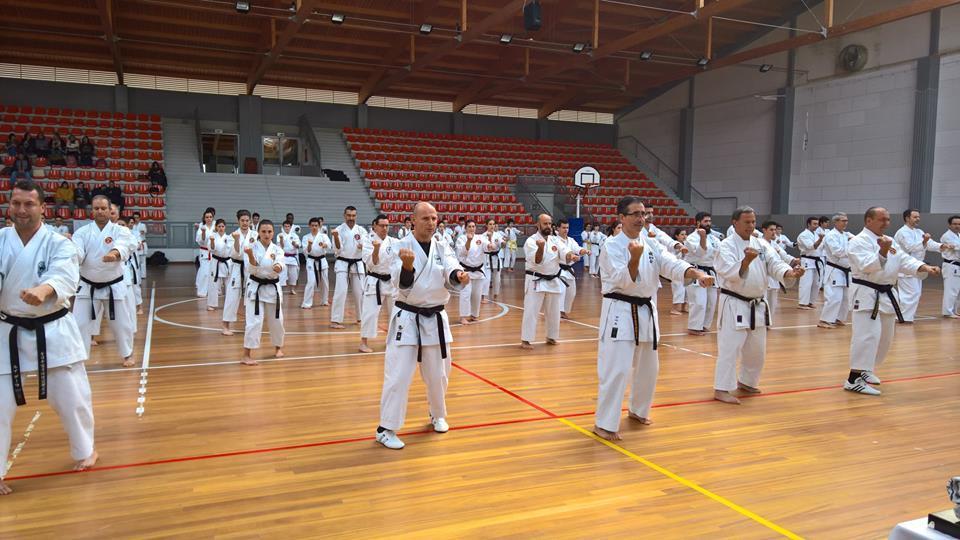 Seiwa Kai Portugal By Abel Figueiredo A recent seminar in Portugal united 102 karate practitioners of Goju Ryu Karatedo Seiwa Kai.
