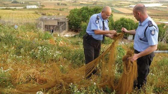 National action on wildlife crime Malta improvements in governance & enforcement MEPA, Wild Birds Regulation Unit, police & armed forces High intensity of inspections High penalties for