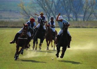 Poloafrica is fully equipped to support guests who want to compete in tournaments, whether individual players or