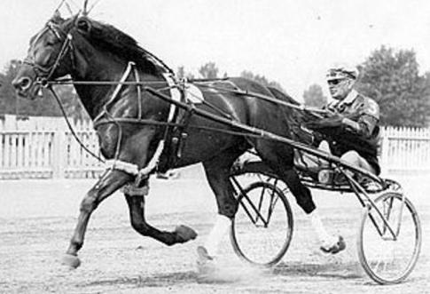The daughters of Peter the Great produced one hundred and twenty two Classic Winners with such champions as ʻtrotter of the centuryʼ, Greyhound.