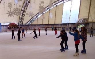 Year 6 also went ice-skating at the Eden Project. These days were thoroughly enjoyed by all.