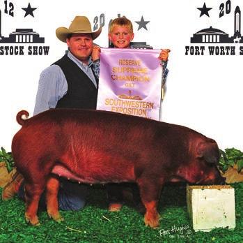 purebred gilts and barrows ARE OUR SPECIALTY!