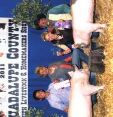 Youth Show, Texas Sired by Gunner Shown by Kaci Stolowski