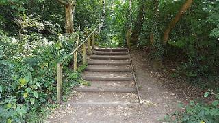 86306 Two alternative long flights of steps provide the only access down into Lexden Park at its top (southern) end, both of wood/earth construction.