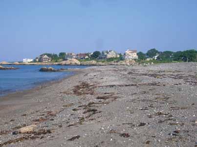 SCOTT S SHORE: PROTECTING WILDLIFE HABITAT Catherine Scott generously donated the property for preserving the natural beauties of the town of Cohasset and protecting the animal life therein and not