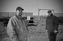 I would like to take this opportunity to welcome you to the 2nd Annual Bull Sale with guest consignors Edwards and JD Angus on March 8, 2014.