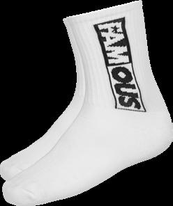 FA021 Famous Lettering Socks Double