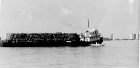 tires over an area of approximately 300 x 500 meters. Figure 1: Tires bundled on barge in preparation for deployment, 1967.