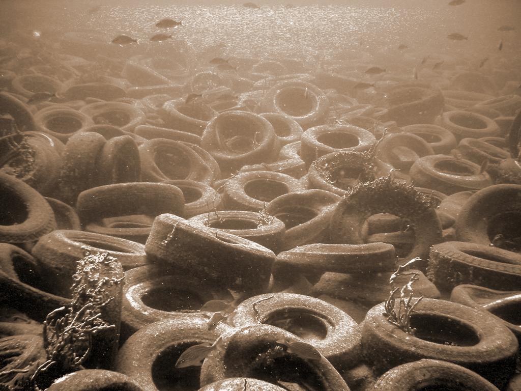 218 Environmental Problems in Coastal Regions VI Subsequent storms have deposited many individual tires from this field onto the beaches of Broward and neighboring counties.