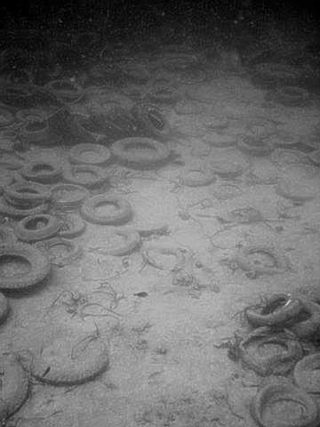 220 Environmental Problems in Coastal Regions VI Figure 5: Photo of tires buried in sand, 2001. Photograph courtesy of Matthew Hoelscher.