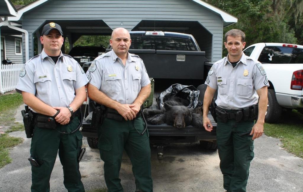 WARE COUNTY On September 29 th, Corporal Josh Chambers, Corporal Jason Shipes, and RFC Mark Pool conducted an investigation related to bear hunting over bait in eastern Ware County.