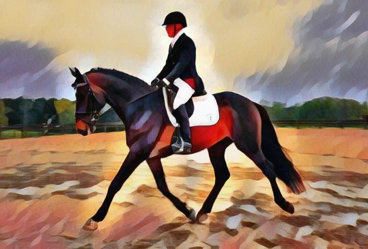 HTPC Annual Fundraiser Dressage and CT Series Sunday August 19, 2018 Dressage and Prix Caprilli Saturday November 17, 2018 Finale