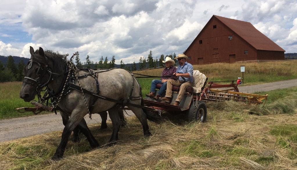 Harriman State Park keeps the history alive with an annual Heritage Days event. The barns at the park have been carefully preserved to showcase the history of work horses, sheep and cattle.