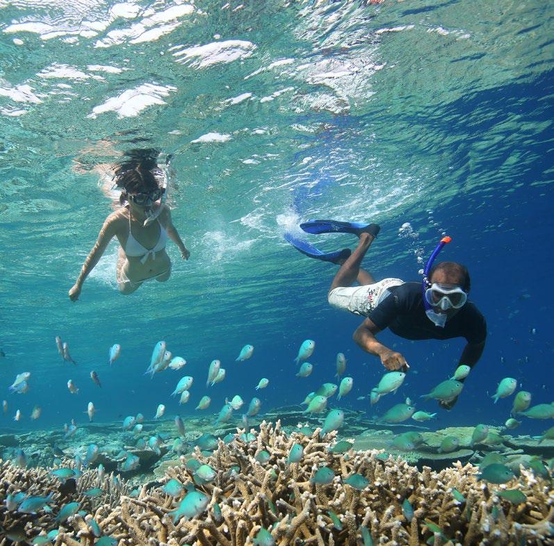 HOUSE REEF SNORKELLING Tranquil waters and bountiful ocean life make our