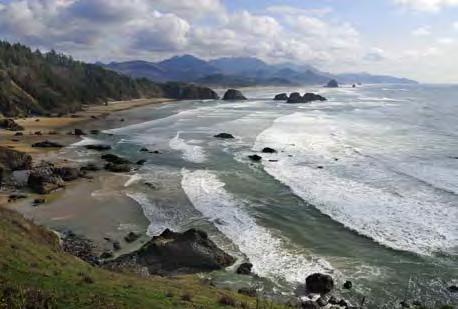 Beach Report Card for 2011-2012: Oregon OREGON OVERALL Summer Dry Winter Dry Wet Weather # % # % # % 3 COUNTIES A 27 100% 24 89% 2011-2012 B 0 2 7% C 0 1 4% D 0 0 F 0 0 Total #: 27 27 For additional