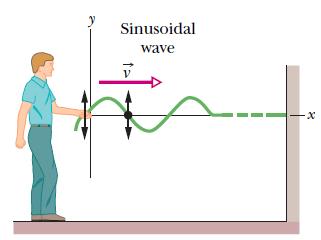 16.3 Transverse and Longitudinal Waves In a transverse wave, the displacement of every such