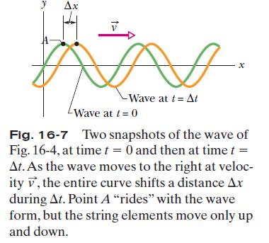 16.4 Wave variables The amplitude y m of a wave is the magnitude of the maximum displacement of the elements from their equilibrium positions as the wave passes through them.