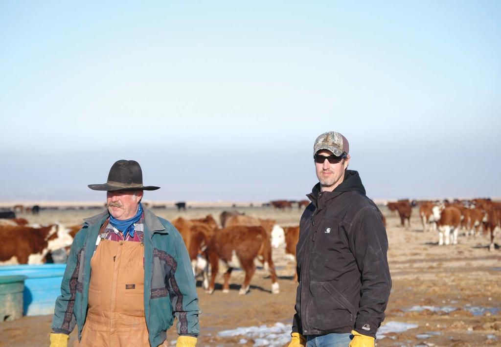 Simmentals At Sinker Creek A 149-year-old cattle ranch in a remote section of southwest Idaho capitalizes on Simmental genetics. Nettleton and his son, Chad, check the replacement heifers.