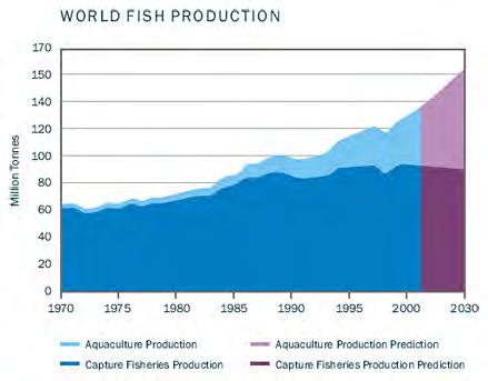Global Need for Aquaculture World Fish Production Million
