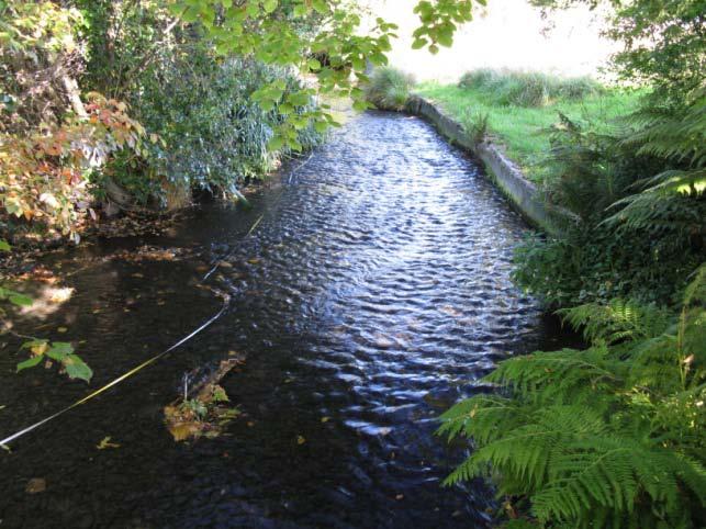 Wairarapa Stream at Glandovey Road,