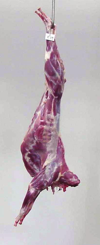 parts is used to determine the carcass conformation. Lean flank color is indicative of relative physiological age of the live goat, with a paler red color more highly desired by consumers.