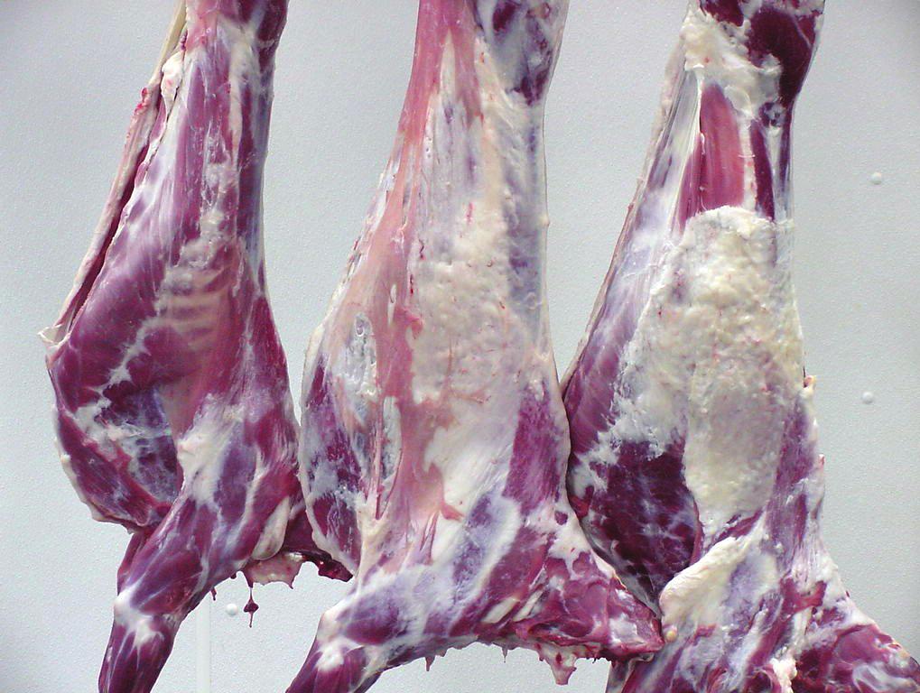 KPH fat is left in goat carcasses until carcass fabrication into cuts to reduce moisture loss and to add weight for sales of carcasses through the different meat marketing channels. 1% 3.