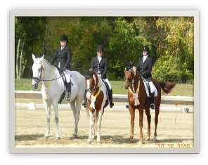 EXTENSIONS 3 Dressage riders, plan ahead!! CDCTA Dressage Adult Team calling all interested!! REMINDER. CDCTA Members time is flying by to qualify and express and interest in joining this event.