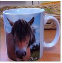 uk or we can select a photo of the horse / pony of your choice Step 2: Leave payment (cash or cheque to Friends of Tumpy Green) in the Office marked FAO Nikki ( 5 per mug) Step 3: When you order is