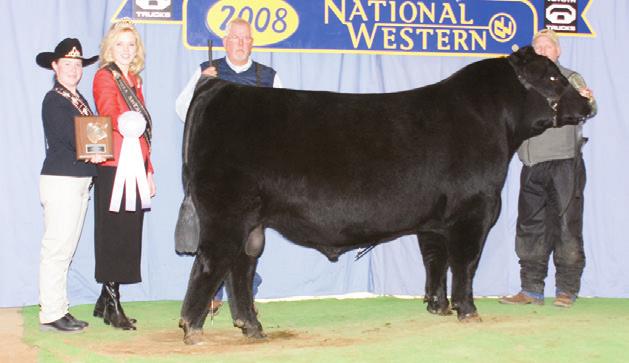 49 This direct daughter of the big ribeye featured BC 7022 +3.4.28 +48.24 +78.21 +25.24 Raven 7965 stems back to the featured Craft Cheyenne 1397-581.