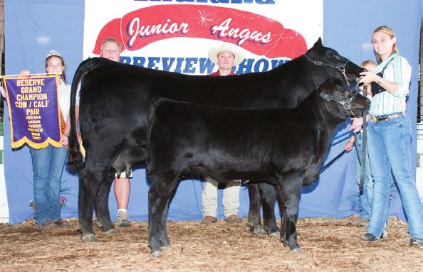 7001 +Champion Hill Lady 703 SAF Penelope 0013 #BC Marathon 7022 OCC Blackbird 796F Grubbs Miss Countess 767 Tattoo: 215 N/A N/A The combination of Fast Rack 082 and the fea- +4.8.27 +43.18 +83.