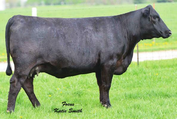 Forever Lady Family FOREVER LADY 850-126 - She sells as Lot 41.