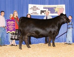 Bred and Owned Reserve Spring Heifer Calf Champion at the Atlantic National Jr. Preview Show, the 2011 Reserve Grand Champion Bred and Owned Female at the Indiana Jr.
