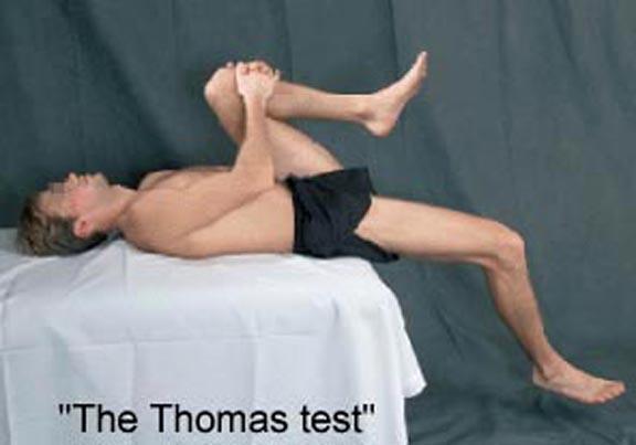 Screening for Psoas tightness Muscle Length Hip should be able to become horizontal with