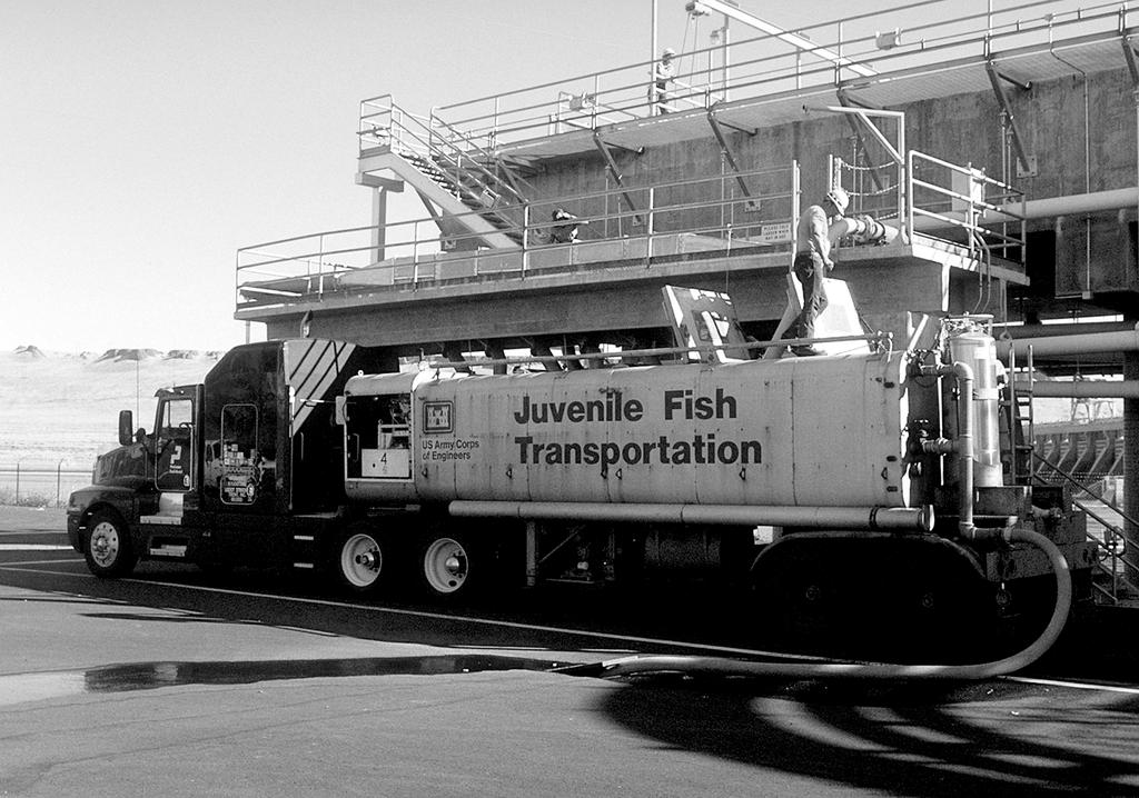 trucks and barges. Each passage alternative has associated risks and contributes to the mortality of juvenile fish. Figure 3 shows one of the trucks used to transport juvenile fish around the dams.