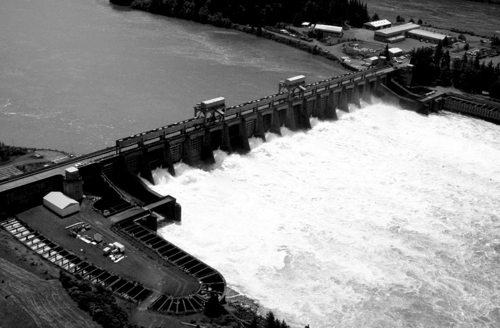 Figure 5: Water Being Released at Bonneville Dam Source: U.S. Army Corps of Engineers.
